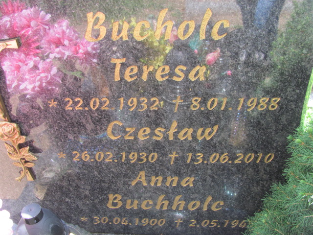 Teresa Bucholc 1932 Wysin - Grobonet - Wyszukiwarka osób pochowanych
