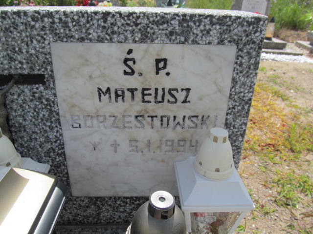 Mateusz Borzestowski 1994 Wysin - Grobonet - Wyszukiwarka osób pochowanych