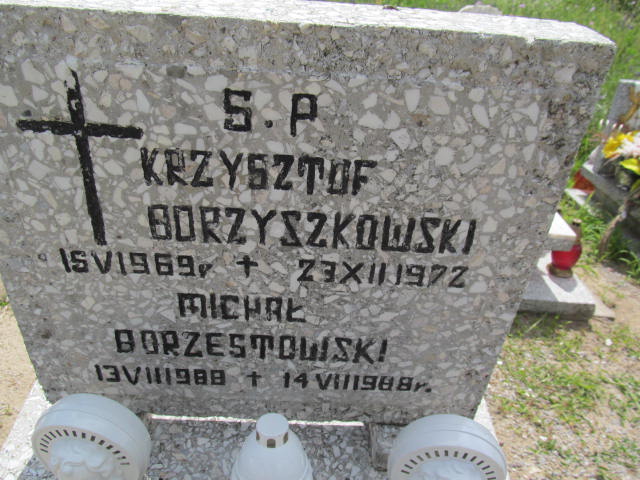 Michał Borzyszkowski 1988 Wysin - Grobonet - Wyszukiwarka osób pochowanych