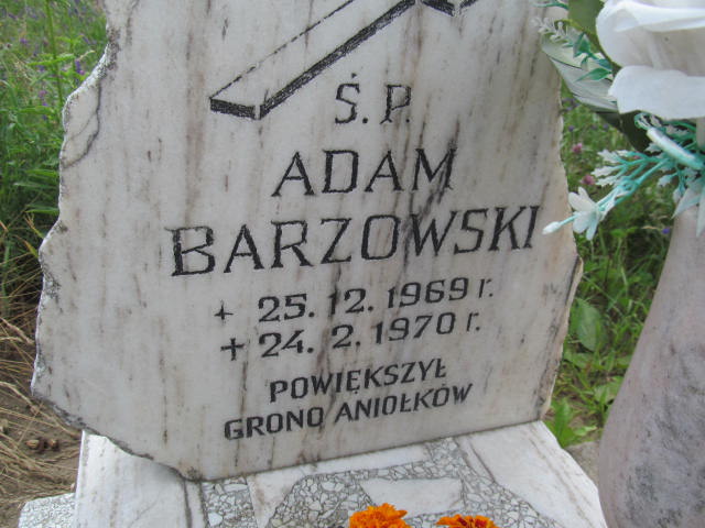 Adam Barzowski 1969 Wysin - Grobonet - Wyszukiwarka osób pochowanych