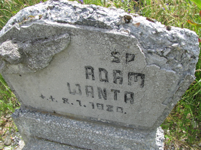 Adam Wanta 1980 Wysin - Grobonet - Wyszukiwarka osób pochowanych