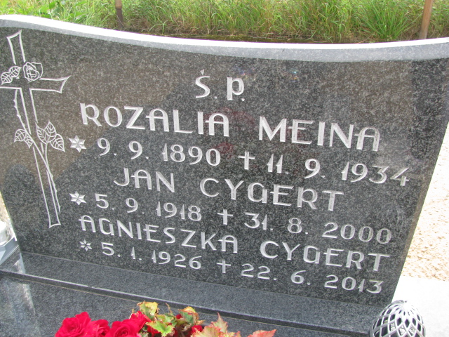 Agnieszka Cygert 1926 Wysin - Grobonet - Wyszukiwarka osób pochowanych