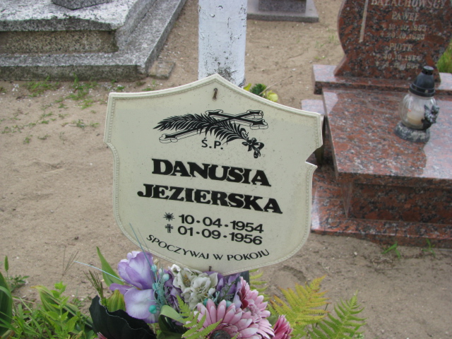 Danuta Jezierska 1954 Wysin - Grobonet - Wyszukiwarka osób pochowanych