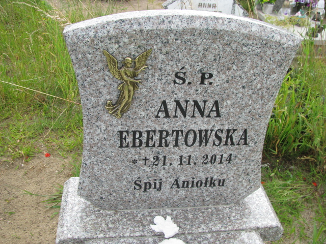 Anna Ebertowska 2014 Wysin - Grobonet - Wyszukiwarka osób pochowanych